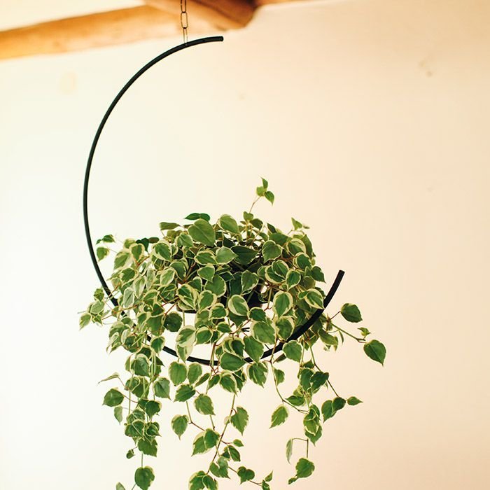 Hanger em Ferro Preto - casaquetem
