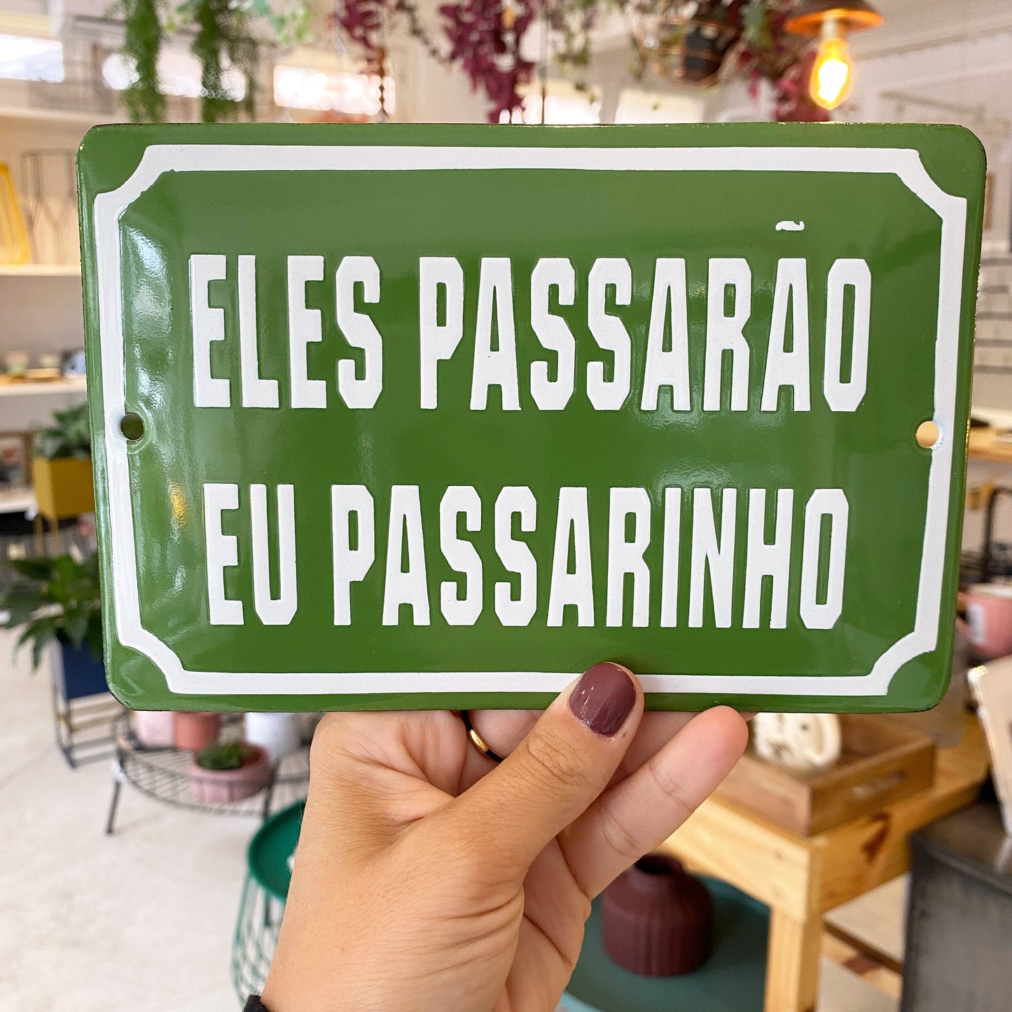 Placa Decorativa Esmaltada Eles Passarão Eu Passarinho - casaquetem