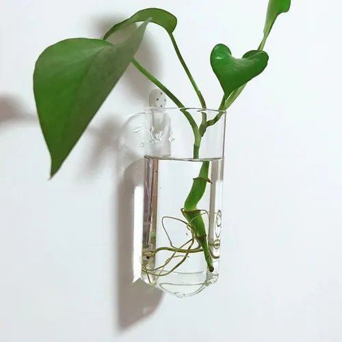 Vaso de Parede Copo em Vidro - casaquetem