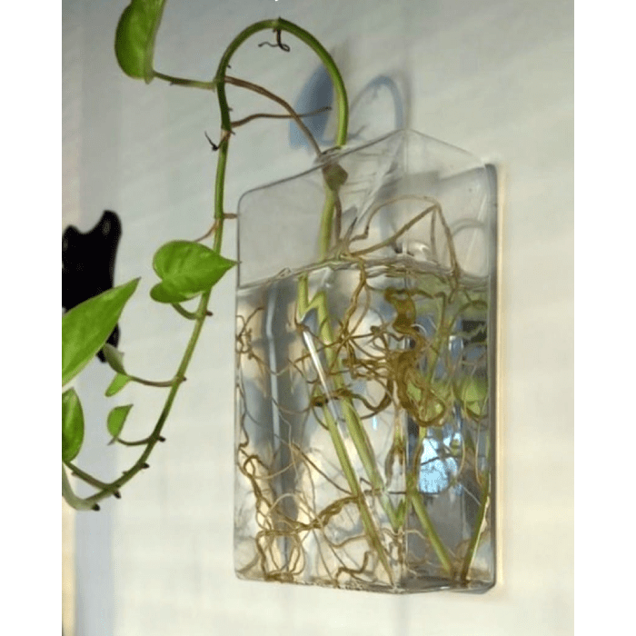 Vaso de Parede Perfume em Vidro - casaquetem
