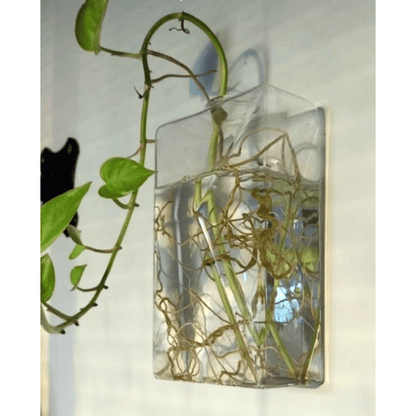 Vaso de Parede Perfume em Vidro - casaquetem
